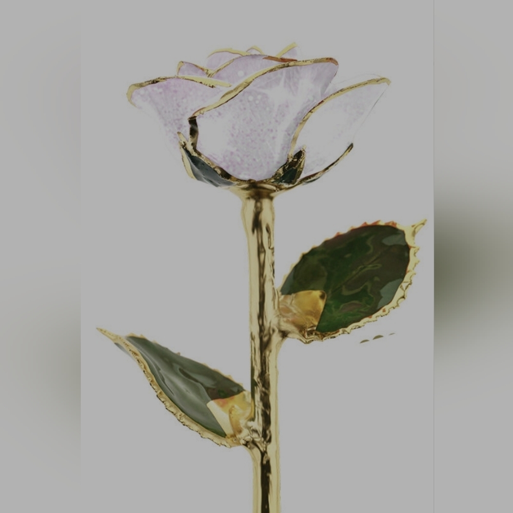 Steven Singer Real Rose Dipped in 24K Gold